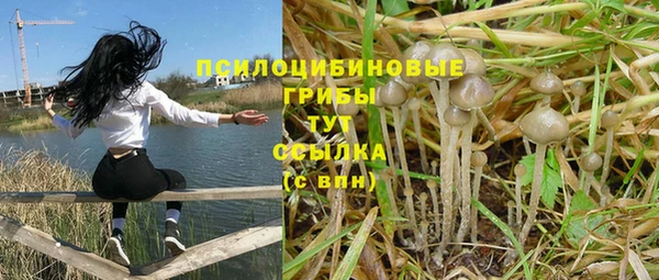 ECSTASY Алзамай