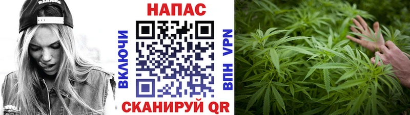 Шишки марихуана план  ссылка на мегу ссылки  Палласовка  купить  